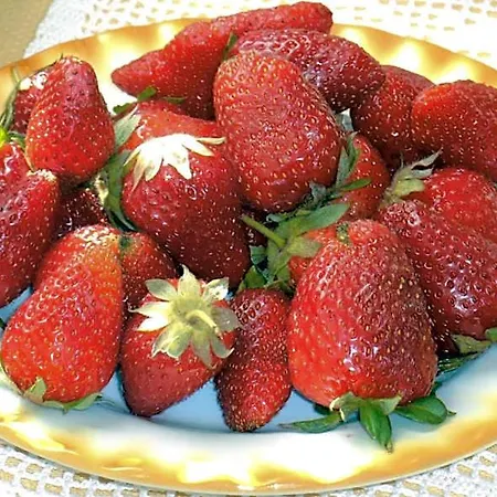 Bed & Breakfast Liberty Fano